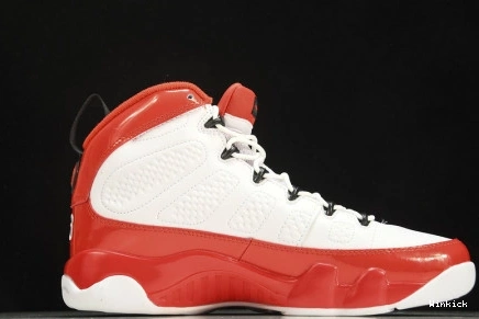 Jordan 9 Air 302370-160 1009